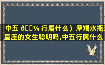 中五 🐼 行属什么）摩羯水瓶双星座的女生聪明吗,中五行属什么)摩羯 🦄 水瓶双星座的女生聪明吗